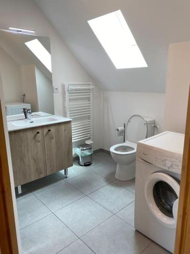 une salle de bain avec toilettes et lavabo et une machine à laver dans l'établissement Charmant T4 duplex vue montagne, à Loudenvielle