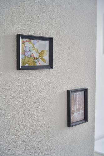 two pictures of flowers on a wall at Greenhome Lörrach -Ihre Apartments im 3-Ländereck- in Lörrach