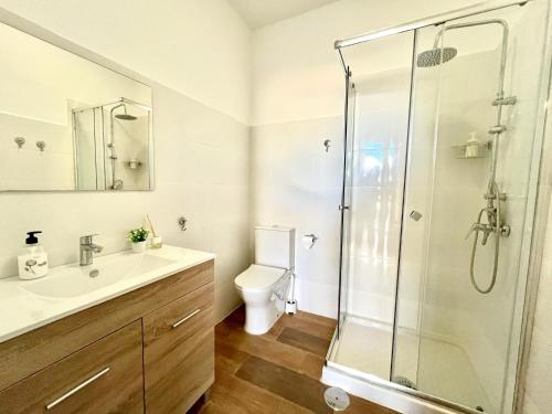 a bathroom with a shower and a toilet and a sink at Castillo de Ralph in Guardias Viejas