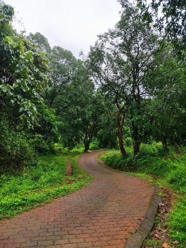 a brick road in the middle of a forest at Brahmagiri Homestay Serviced Villa in Thirunelli