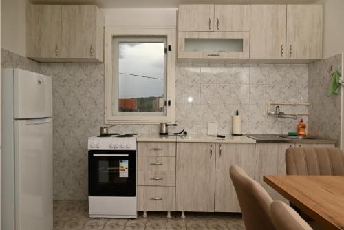 Η κουζίνα ή μικρή κουζίνα στο Apartmani Timacum