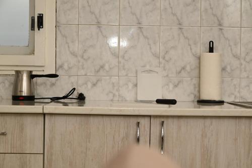Η κουζίνα ή μικρή κουζίνα στο Apartmani Timacum