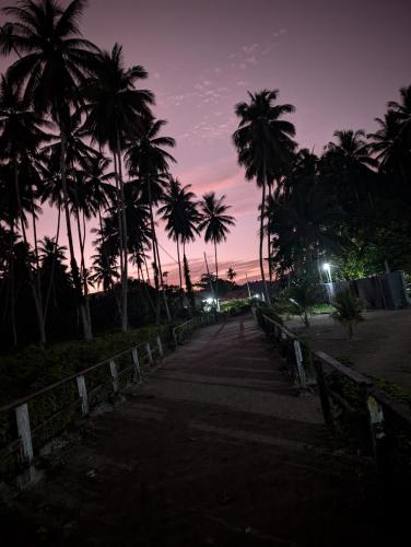 a street with palm trees at night with a sky at Friwen Mangrove Eco Lodge in Yennanas Besir