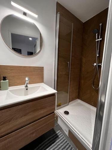 une salle de bain avec un lavabo et une douche avec un miroir dans l'établissement Le Jungle 2ème Étage, à Abbeville