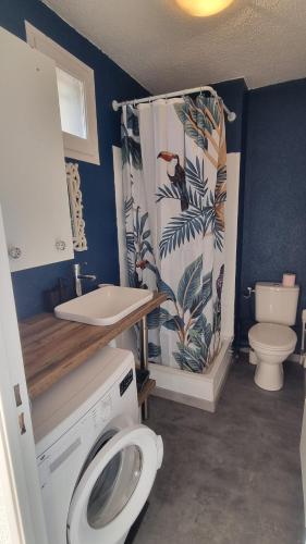 La salle de bains est pourvue d'un lavabo et d'un rideau de douche. dans l'établissement Le Corail Grand studio Vue mer avec loggia - Plage et port à 5 min à pied - parking privatif - Draps et ménage inclus, à Saint-Cyprien