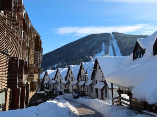 Apartment Čertovka-2 by Interhome