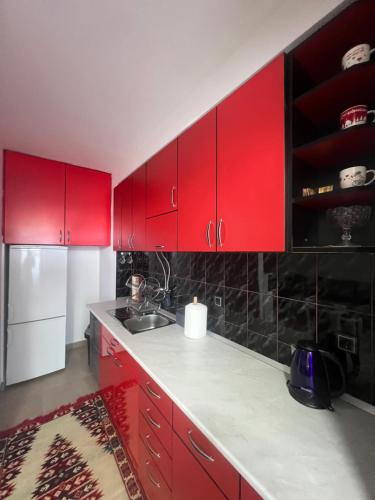 a red kitchen with a sink and red cabinets at The GREEN FAMILY paradise in Čajetina
