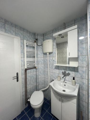 a bathroom with a toilet and a sink at The GREEN FAMILY paradise in Čajetina