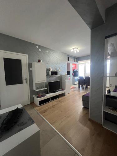 a large living room with a television and a living room at The GREEN FAMILY paradise in Čajetina