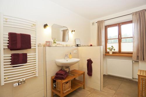 a bathroom with a sink and a mirror at Sotterhof - Chiemgau Karte in Inzell