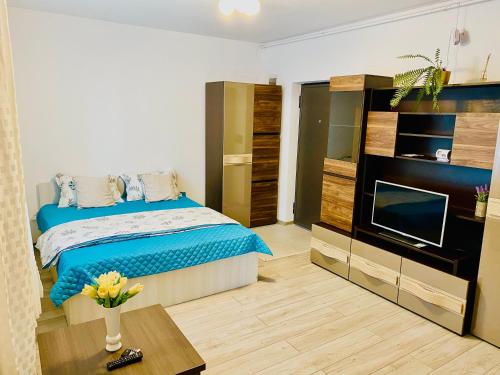 Gallery image of Garsonieră Trivale in Piteşti