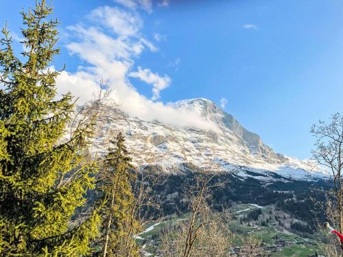 a mountain covered in snow with trees in the foreground at Holiday Home Chalet Tannengüetli by Interhome in Grindelwald