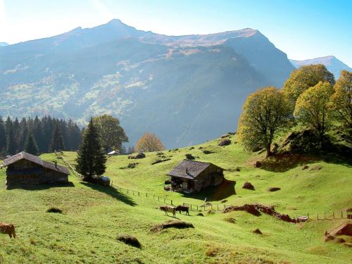 a green hill with a fence and some animals on it at Holiday Home Chalet Tannengüetli by Interhome in Grindelwald