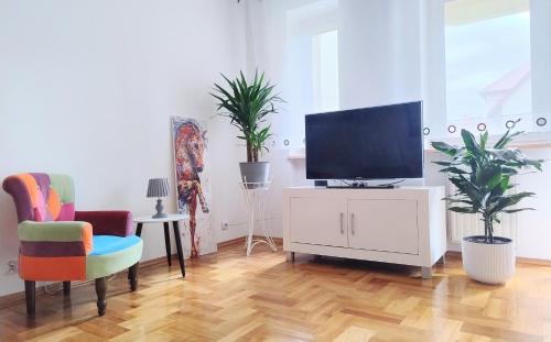 Televisyen dan/atau pusat hiburan di Apartament Tektoniczna Ślichowice, Targi