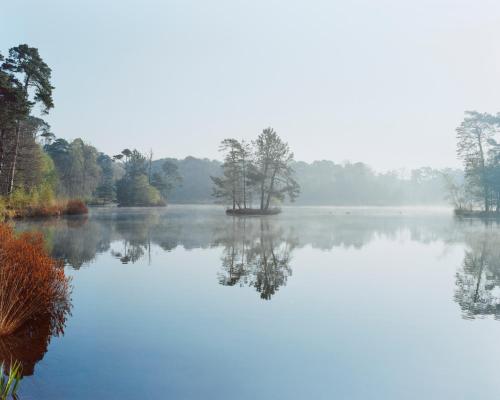 a lake with trees in the middle of it at Hotel Bent in Oisterwijk