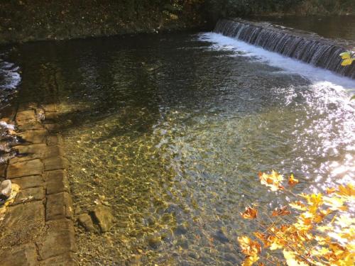 a river with a waterfall and autumn leaves in the water at Chata Na Mýtině in Čeladná