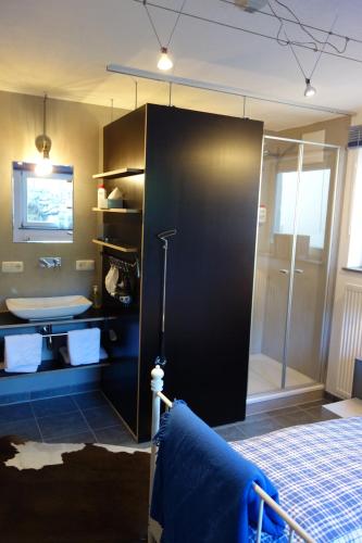 a bathroom with a shower and a sink at Chiemgau-ROOM, helles Souterrain, eigene Terrasse in Riedering