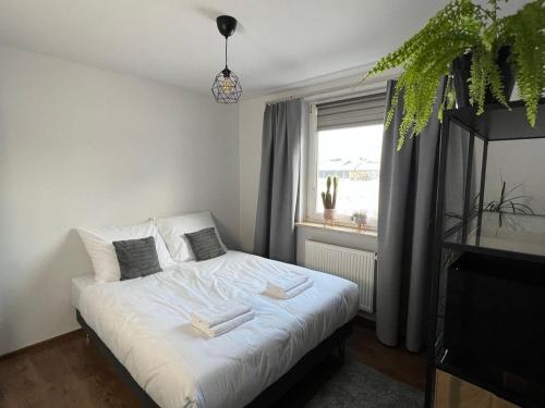 Ένα ή περισσότερα κρεβάτια σε δωμάτιο στο Apartament Noce i Dnie z prywatnym jacuzzi