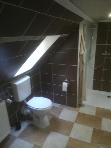 a bathroom with a toilet and a shower at Fitness Pension in Sulingen