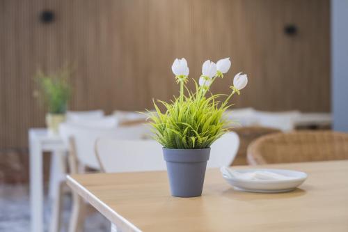 a vase with white flowers sitting on a table at Alda Cabanas Playa in Cabañas