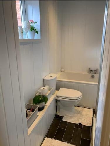 a bathroom with a toilet and a tub and a sink at Bramley Fall Park Homestay in Horsforth