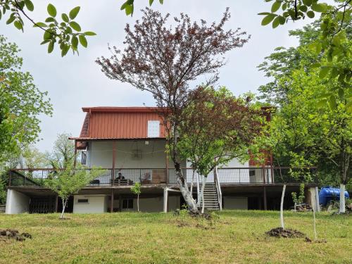a house with a red roof with trees in the foreground at Babilina Hostel & Campsite in Navenakhevi