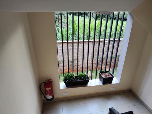 a window with two potted plants and a fire extinguisher at The Arches Accola in Nairobi