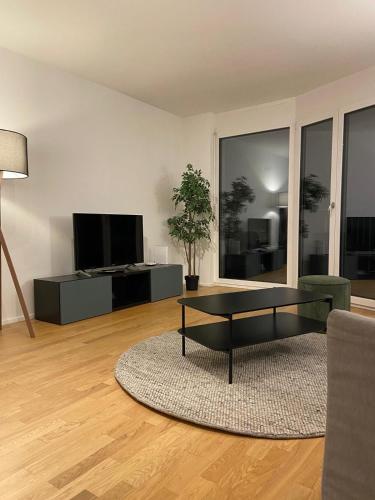 a living room with a coffee table and a flat screen tv at Apartments in Zelgstrasse-Zurich in Zürich