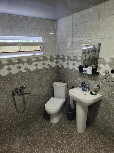 a bathroom with a toilet and a sink at Babilina Hostel & Campsite in Navenakhevi