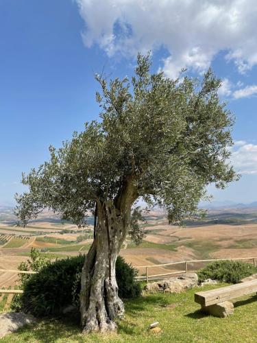 Paesaggio naturale nelle vicinanze dell'appartamento