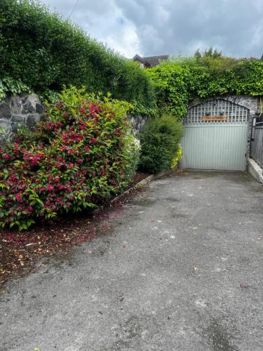A garden outside The Stables Kildare - adults only