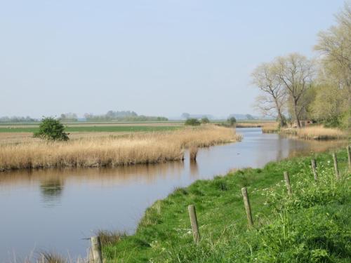 a river with a fence next to a field at Faro Greenpark, Cadzand-Bad APP 07 in Cadzand