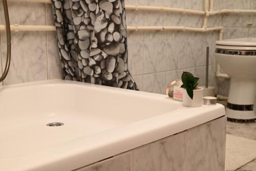 Ένα μπάνιο στο Apartmani Timacum