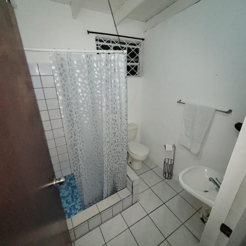 a bathroom with a shower with a toilet and a sink at ADA APARTMENTS Saint Lucia in Castries