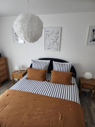 Appartement Plein Centre