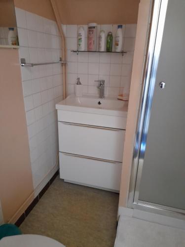 une petite salle de bain avec un lavabo et une douche dans l'établissement Le mansardé du pont de la seine, à Troyes