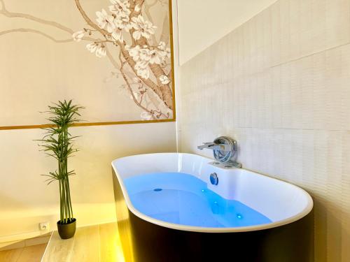 Relax Inn Champagne - Reims Balnéo