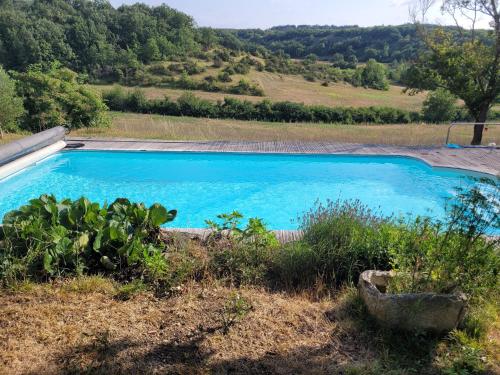 une piscine au milieu d'un champ dans l'établissement La chambre du cantou, à Lautrec
