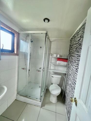 a bathroom with a shower and a toilet at Cabañas Puntocom in Puerto Aisén