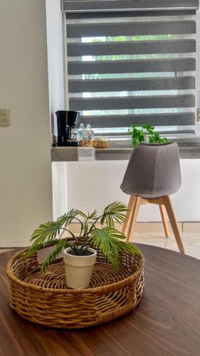 a wicker basket with plants and a lamp on a table at VILLAS EL ENCANTO in Jalpan
