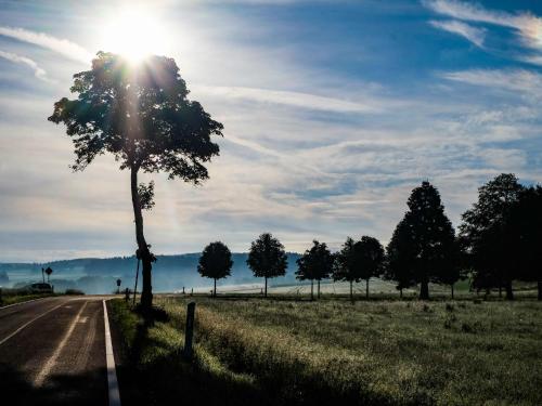 Příroda nedaleko apartmánu