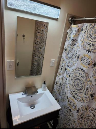 a bathroom with a sink and a mirror at Amazing DC Home Away From Home in Washington, D.C.