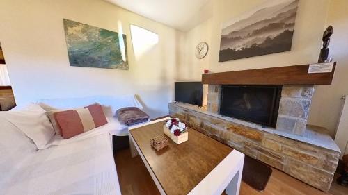 a living room with a fireplace and a couch at Los Altos de Escarrilla - tucasaenlospirineos in Escarrilla