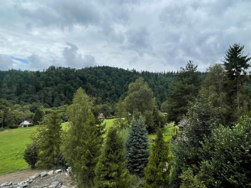 a view of a hill with trees and a field at Apartmány U Bernharda in Vítkov
