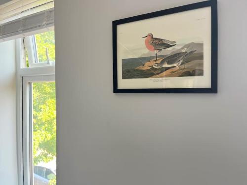 Artistic 3 bed home in Old Trafford next to MUFC photo 25