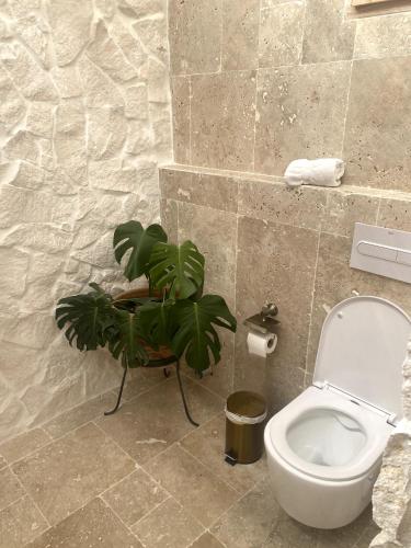 a bathroom with a toilet and a potted plant at Cortijo Boutique Marbella in Marbella