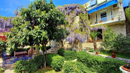 a house with a wisteria tree in front of it at Vila Gloria in Bar