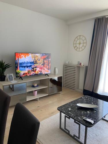 Télévision ou salle de divertissement dans l'établissement ForS Belgrade Waterfront