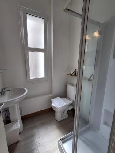 une salle de bain avec toilettes, lavabo et douche dans l'établissement Appartement plein centre chez Eric n3, à Tours
