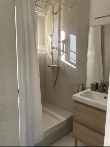 une salle de bain avec une baignoire et un lavabo dans l'établissement Charmante maison climatisée avec piscine privée, à Avignon